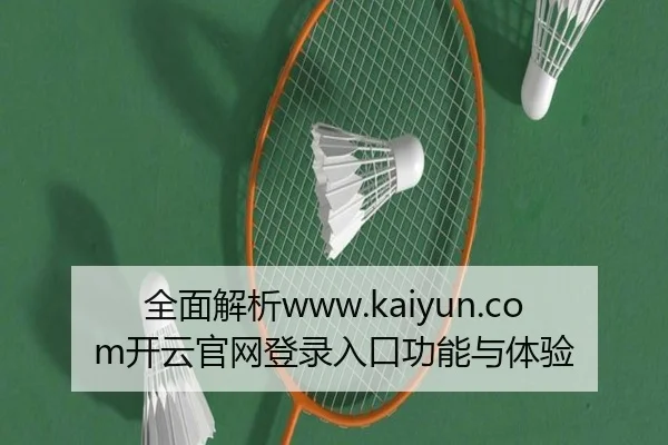 全面解析www.kaiyun.com开云官网登录入口功能与体验